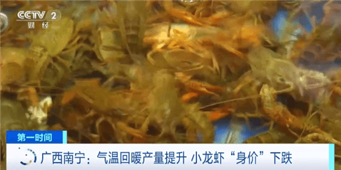 小龙虾身价暴跌10元一斤，网友：终于能吃起了！